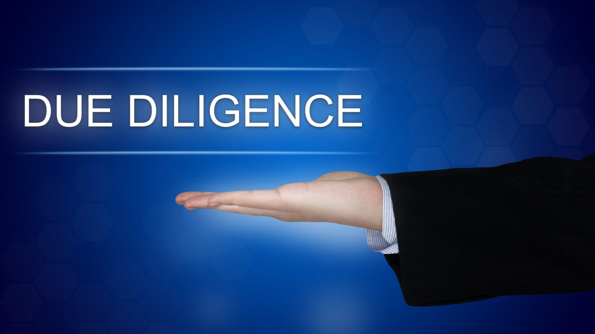 Risk Management and Due Diligence